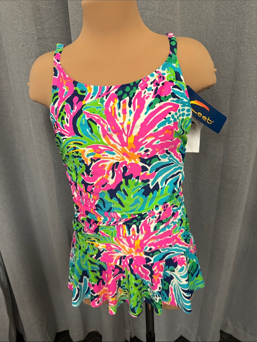 Ceeb Colorful Floral Fit-and-Flare Swim Dress